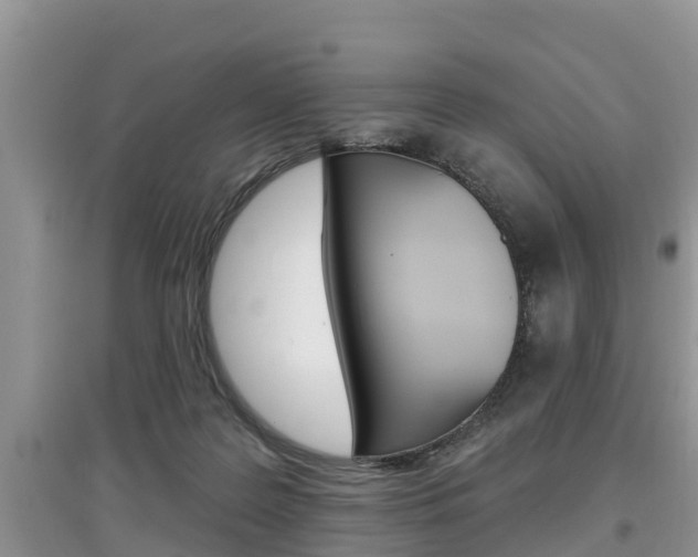 X0000097910219200803141036