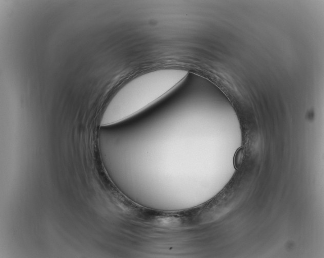 X0000097910220200803141036