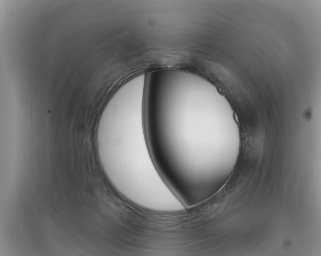 X0000097910221200803141036