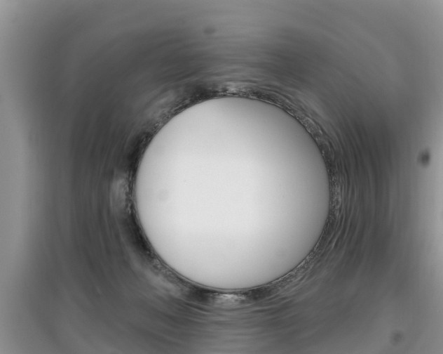 X0000097910222200803141036