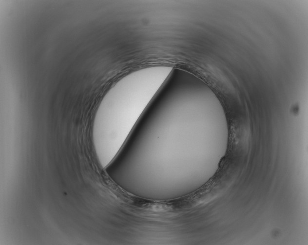 X0000097910223200803141036