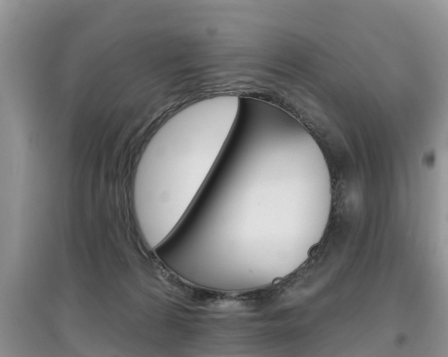 X0000097910224200803141036