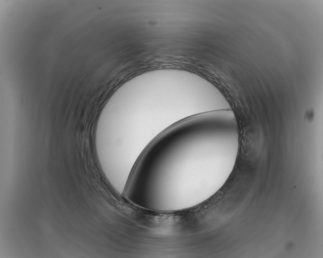 X0000097910225200803141036
