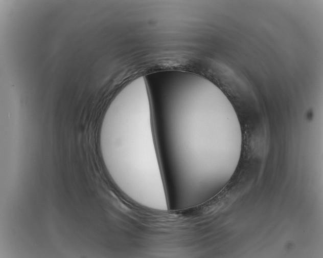 X0000097910227200803141036