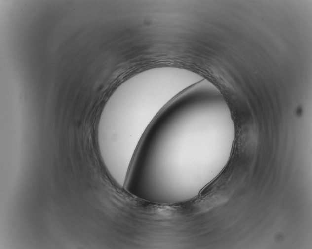 X0000097910229200803141036