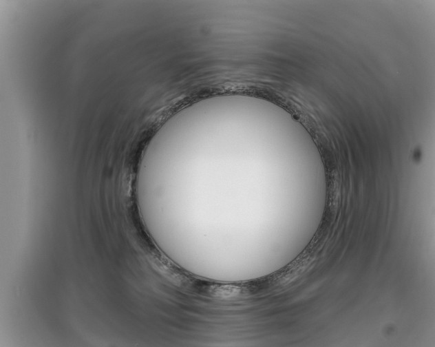 X0000097910230200803141036