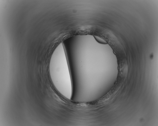 X0000097910231200803141036