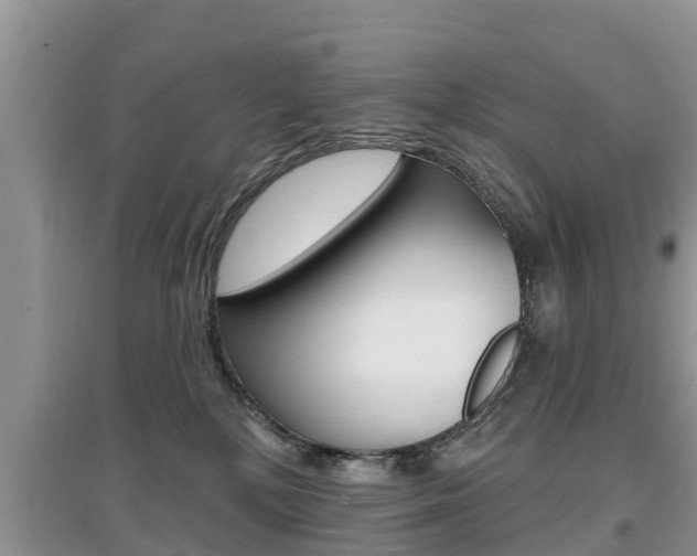 X0000097910232200803141036