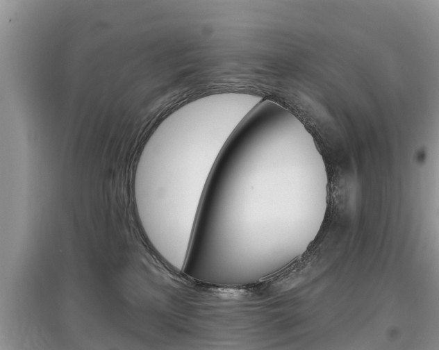 X0000097910233200803141036