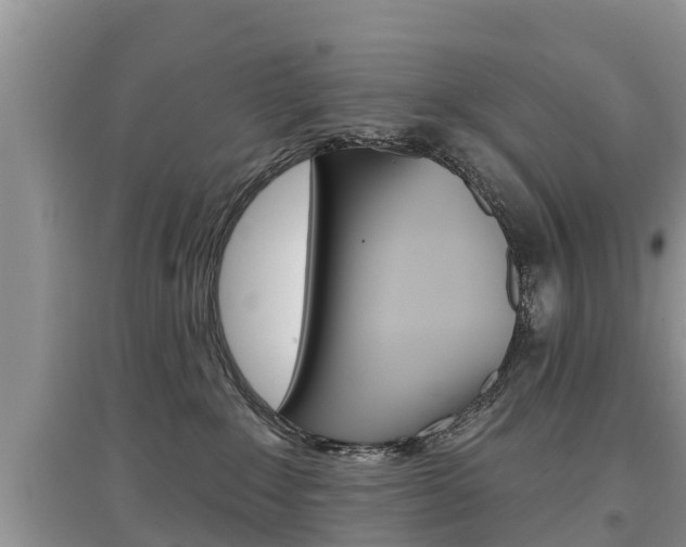 X0000097910235200803141036