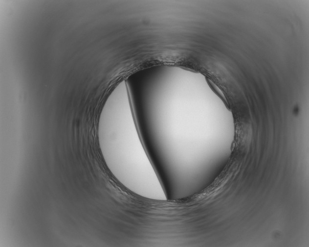 X0000097910237200803141036