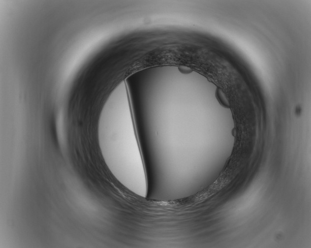 X0000097910239200803141036