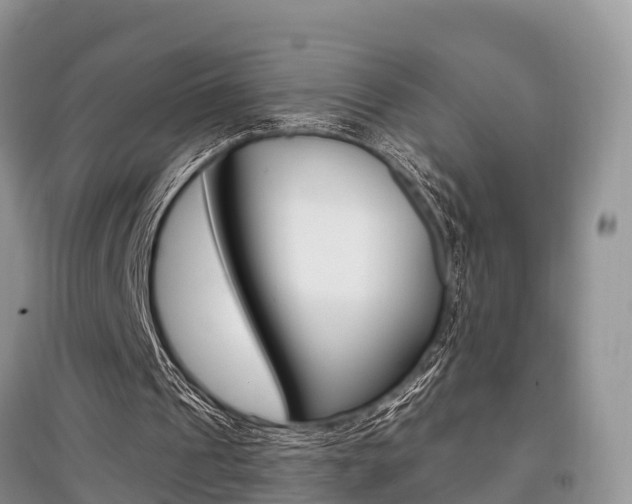 X0000097910241200803141035