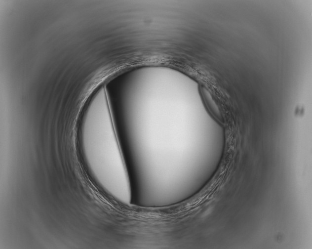 X0000097910242200803141035