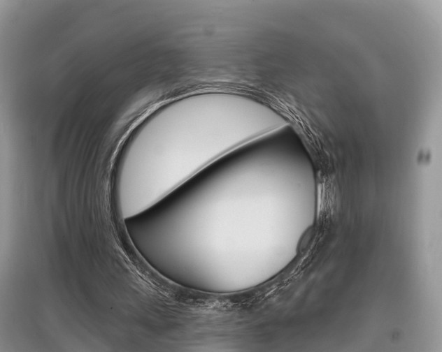 X0000097910243200803141035