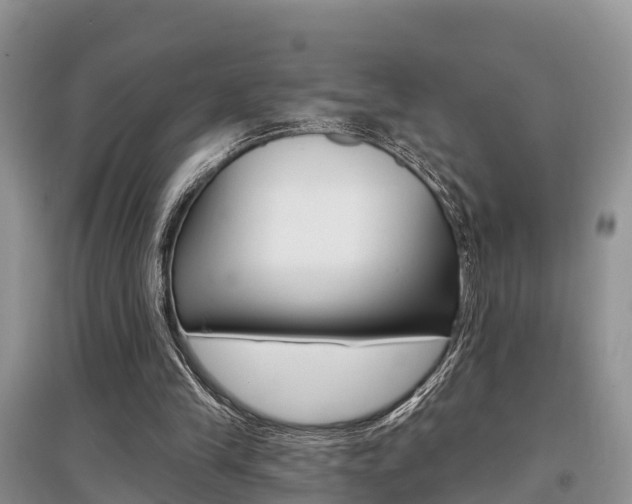 X0000097910245200803141035