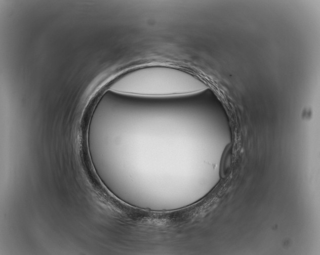 X0000097910247200803141035
