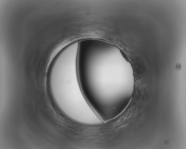 X0000097910248200803141035