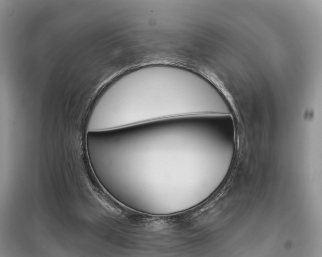 X0000097910249200803141035
