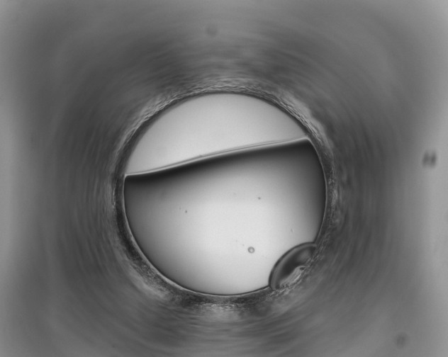 X0000097910250200803141035