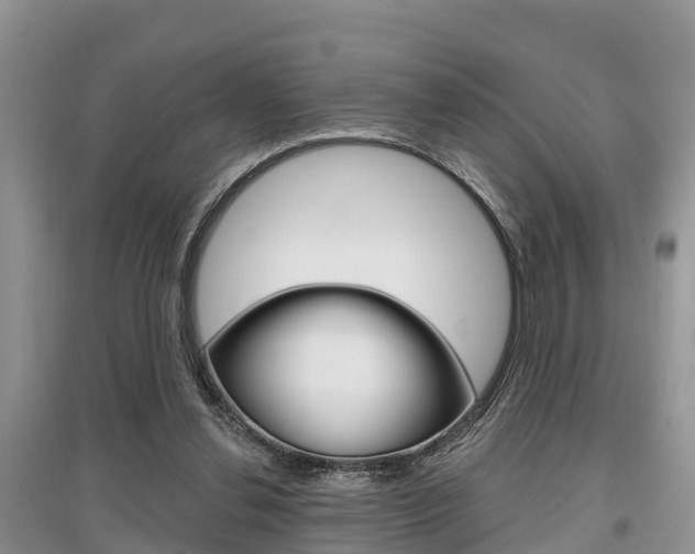 X0000097910252200803141035