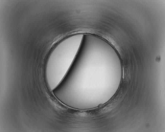 X0000097910253200803141035