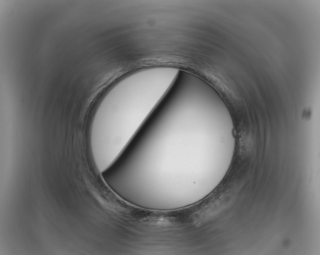 X0000097910254200803141035