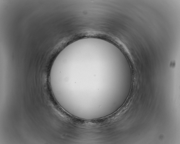 X0000097910257200803141035