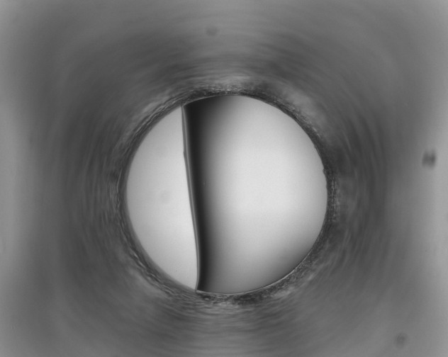 X0000097910258200803141035
