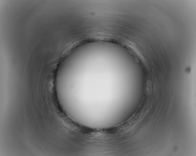 X0000097910259200803141035