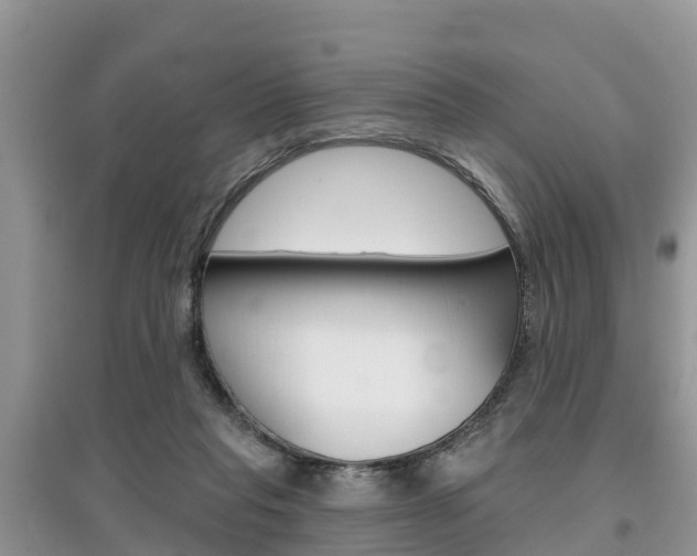 X0000097910261200803141035