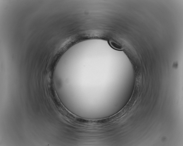 X0000097910264200803141035