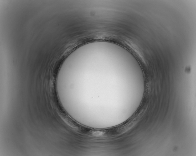 X0000097910265200803141036
