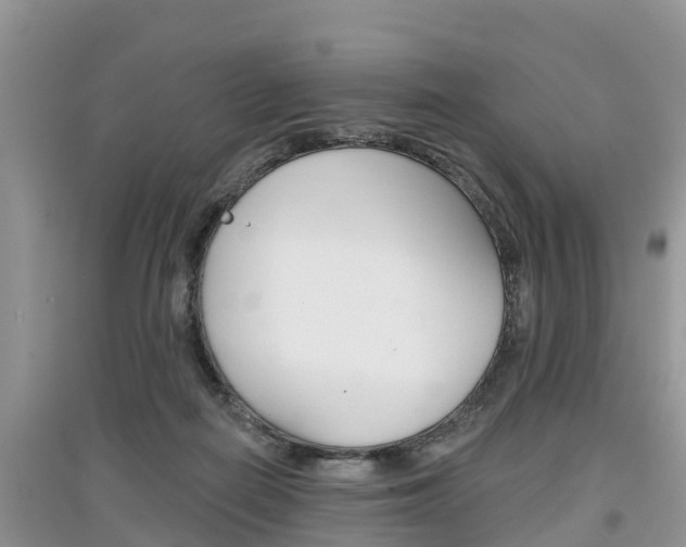 X0000097910266200803141036