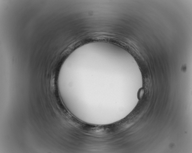 X0000097910267200803141036