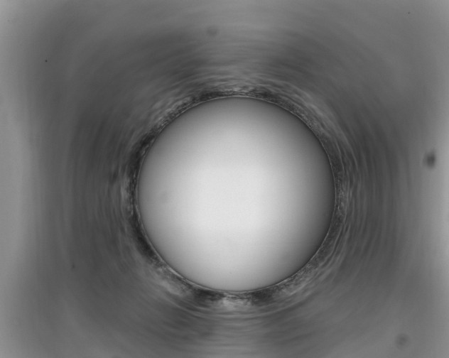 X0000097910270200803141036