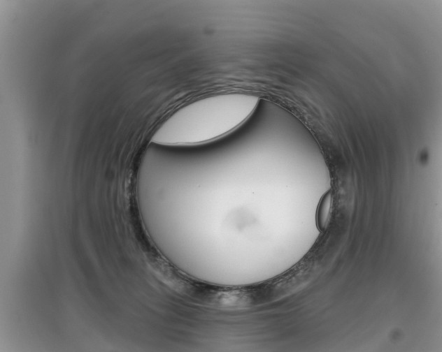 X0000097910275200803141036