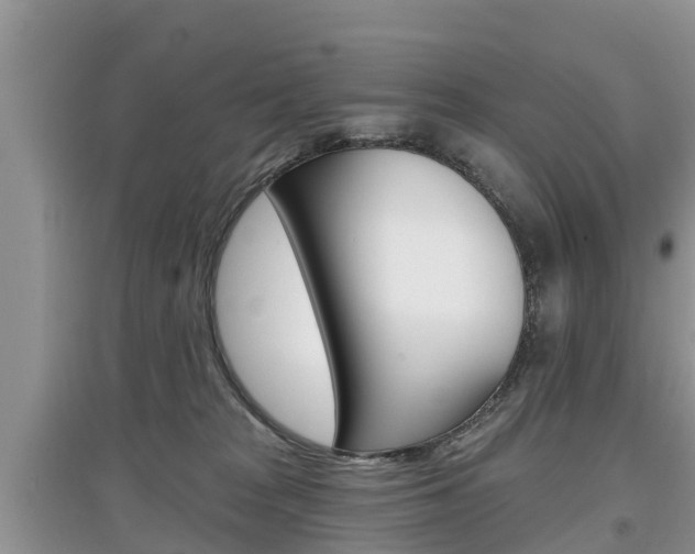 X0000097910277200803141036