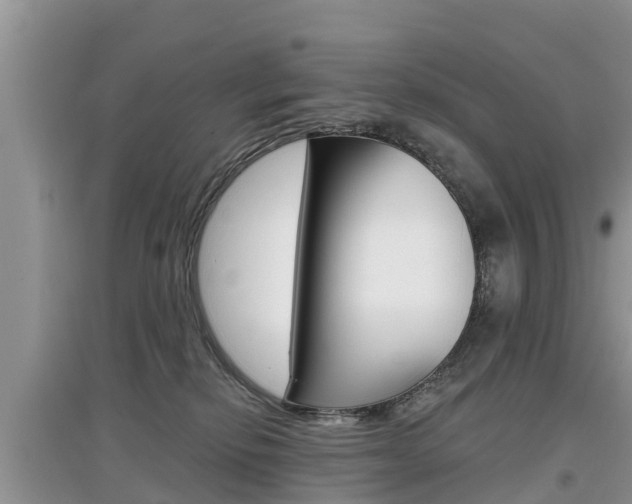 X0000097910278200803141036