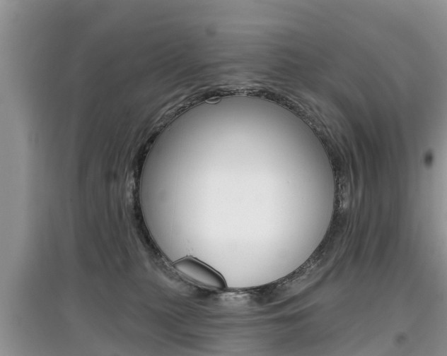 X0000097910279200803141036