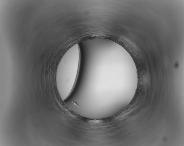 X0000097910281200803141036