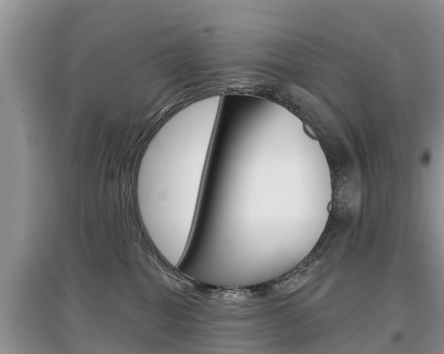 X0000097910282200803141036