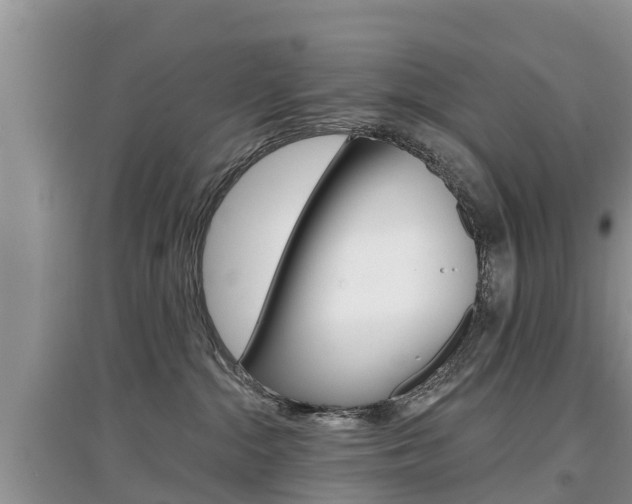 X0000097910284200803141036