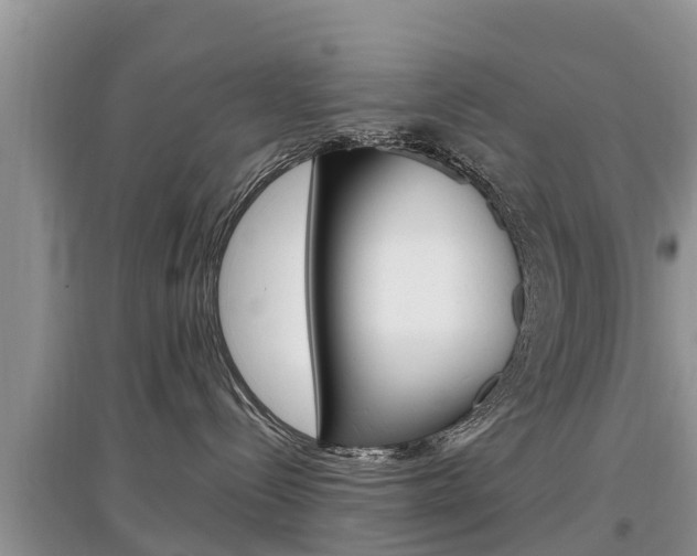 X0000097910288200803141036