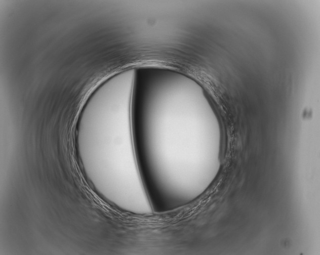 X0000097910289200803141035