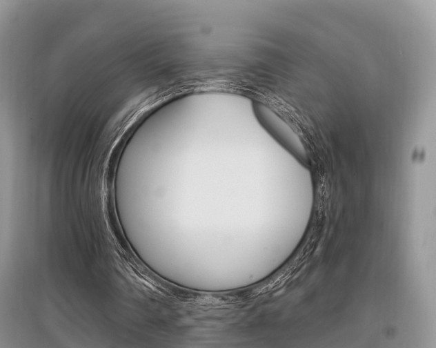 X0000097910290200803141035