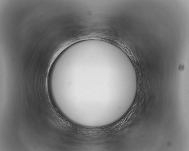 X0000097910292200803141035