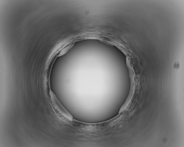 X0000097910293200803141035