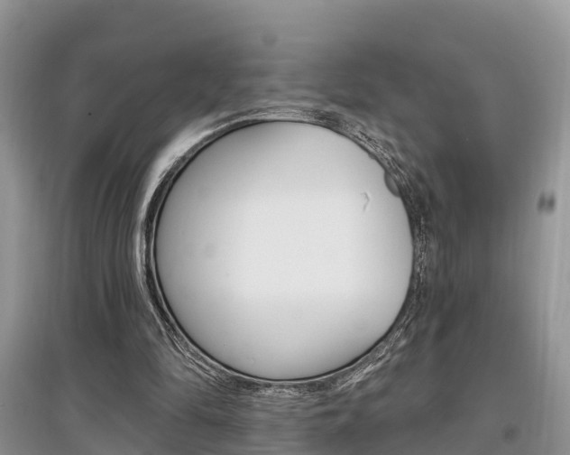 X0000097910294200803141035