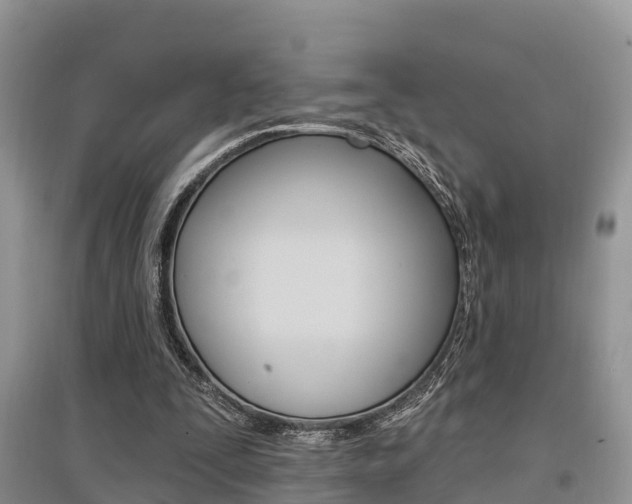 X0000097910295200803141035